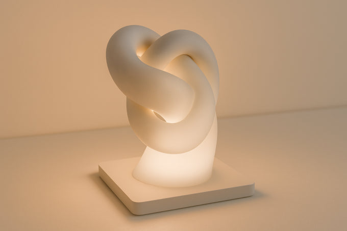 Torus Knot Lamp