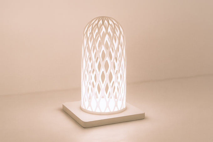 Neural Mesh Lamp