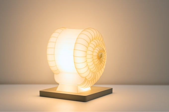 Ammonite Lamp